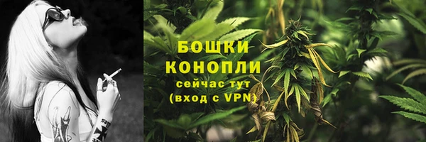 spice Армянск