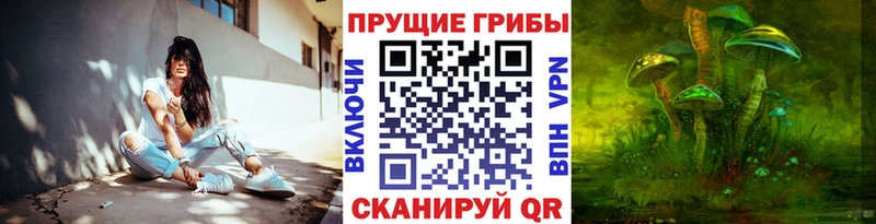 где продают наркотики  Лагань  OMG ссылки  darknet телеграм  Псилоцибиновые грибы GOLDEN TEACHER 